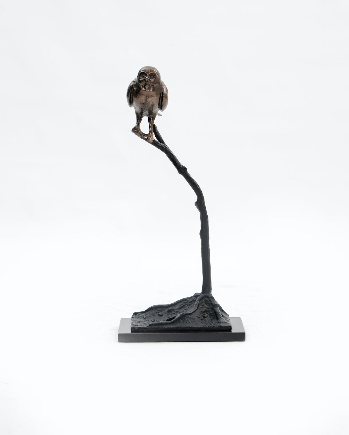 Perch Owl