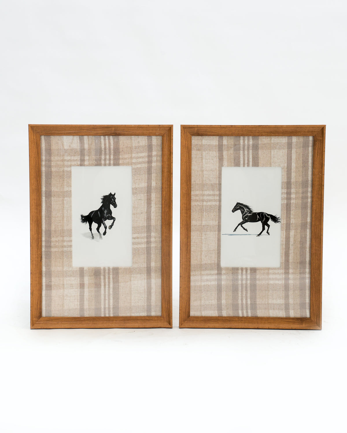 Canter I Horse