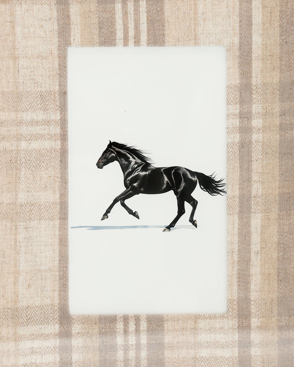 Canter I Horse