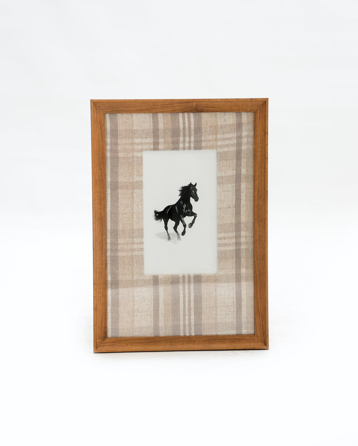 Canter II Horse