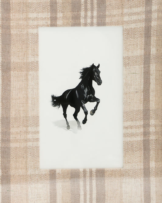 Canter II Horse