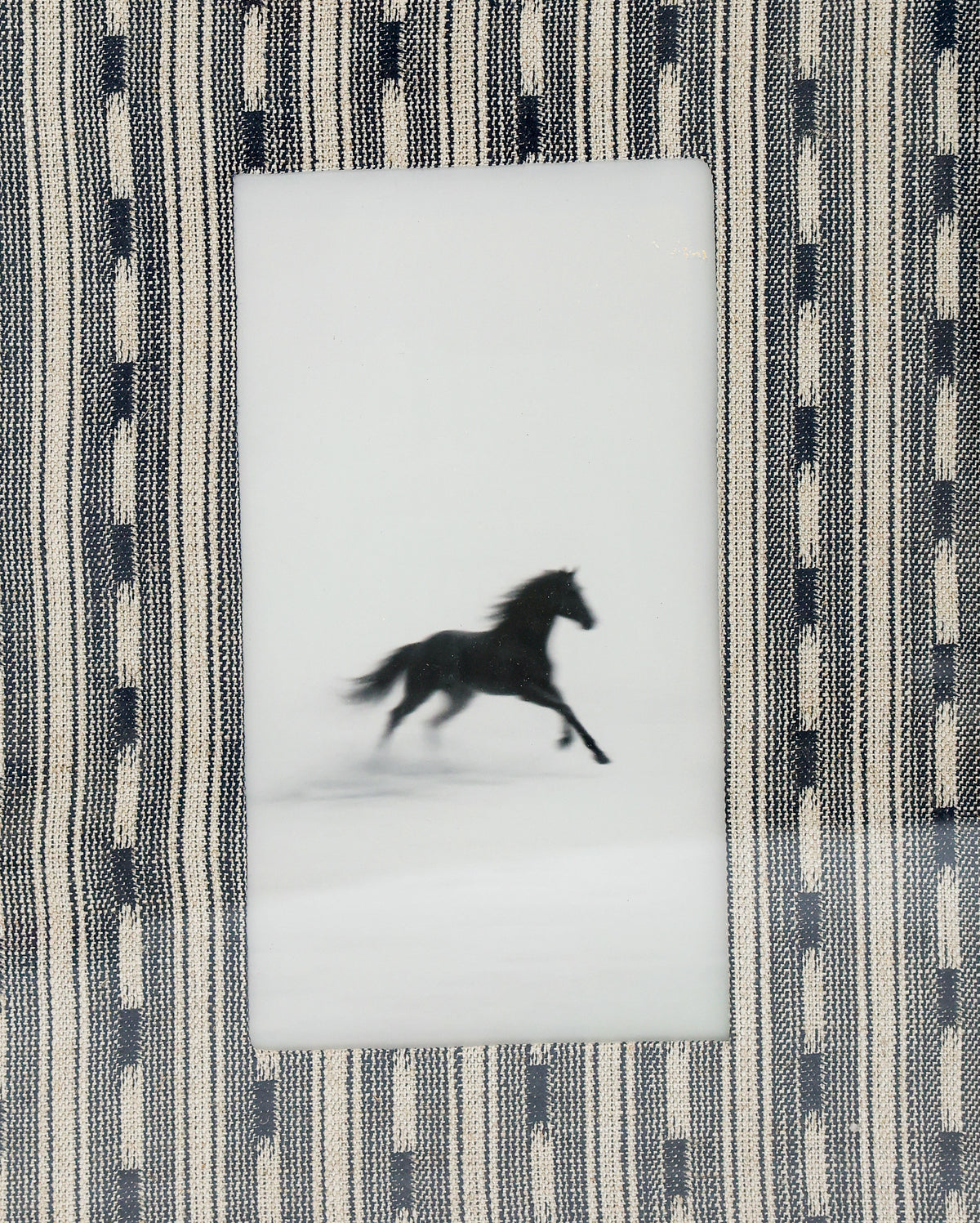 Gallop I Horse