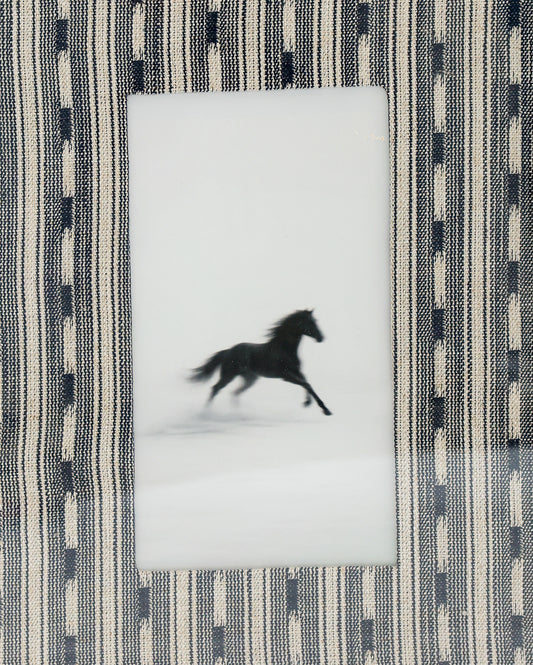 Gallop I Horse