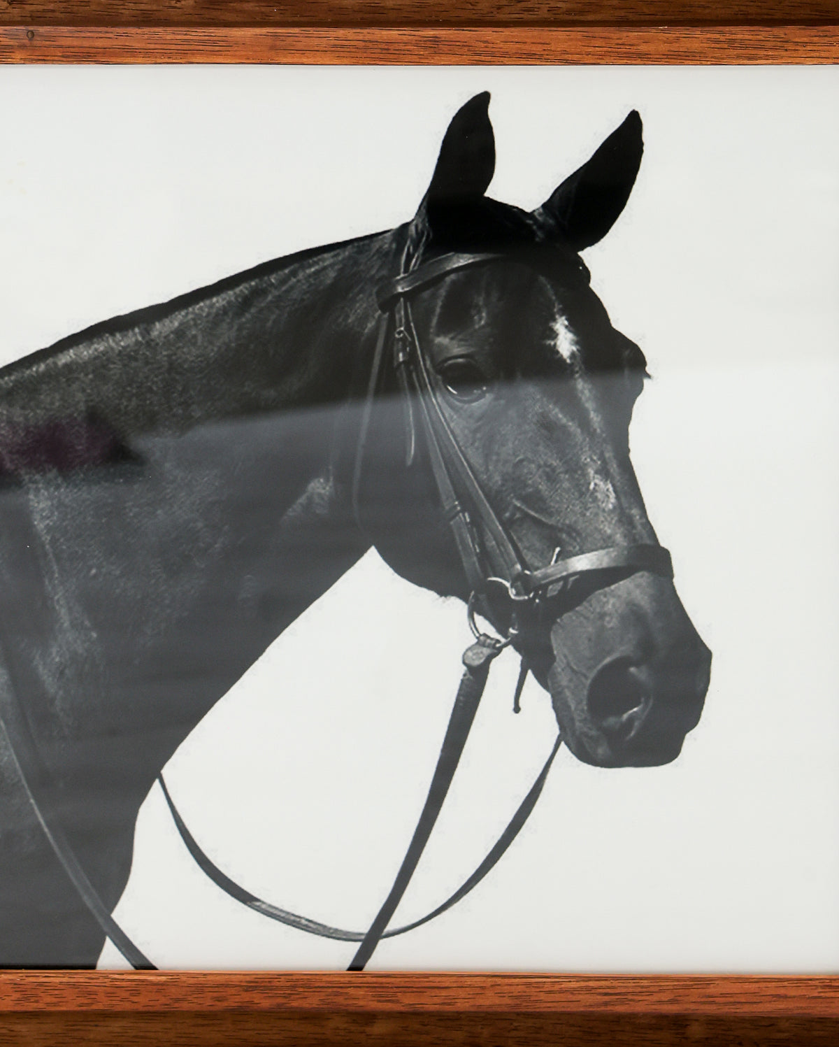 Big Horse Painting